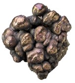 Chalcopyrite botryoidal